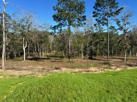 Tbd Lot 26 Addison Road Livingston TX 77351