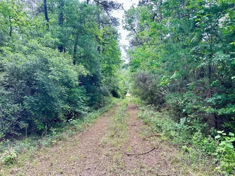 146 State Highway 146 S Livingston TX 77351