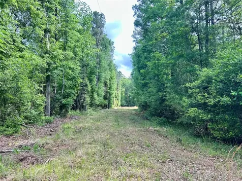 146 State Highway 146 S Livingston TX 77351