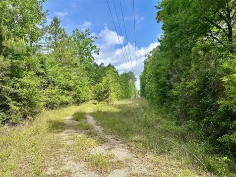 146 State Highway 146 S Livingston TX 77351