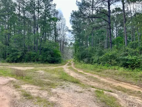 146 State Highway 146 S Livingston TX 77351