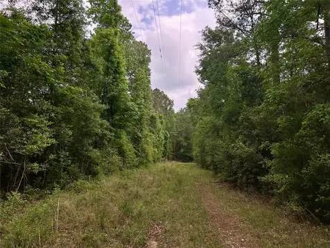 146 State Highway 146 S Livingston TX 77351