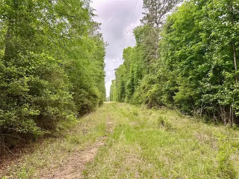 146 State Highway 146 S Livingston TX 77351