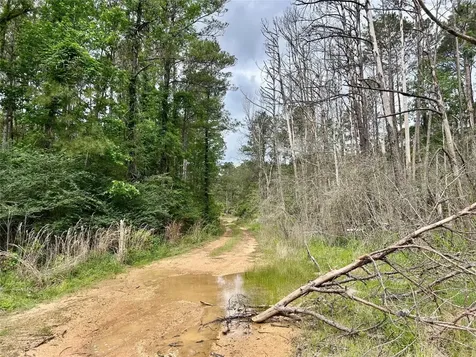 146 State Highway 146 S Livingston TX 77351