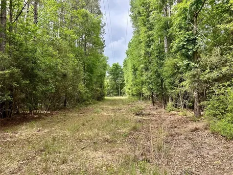 146 State Highway 146 S Livingston TX 77351