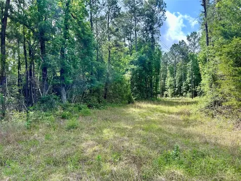 146 State Highway 146 S Livingston TX 77351