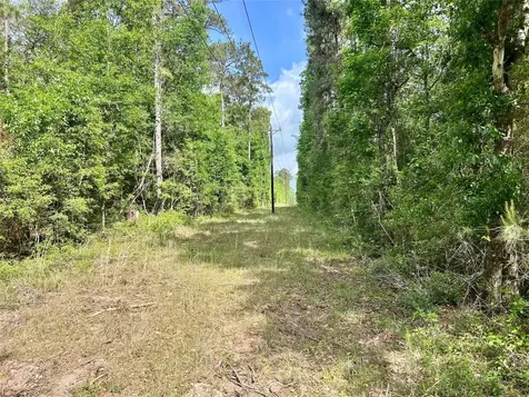 146 State Highway 146 S Livingston TX 77351