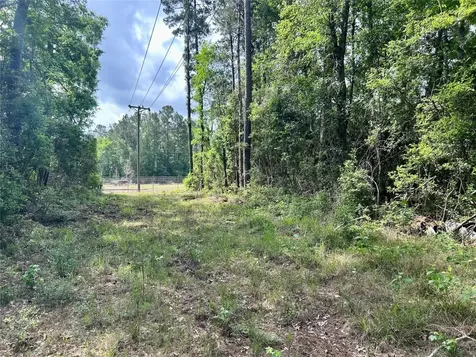 146 State Highway 146 S Livingston TX 77351