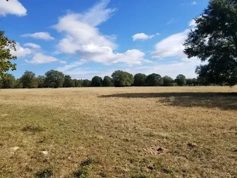 6526 Owensville Cemetery Road Franklin TX 77856