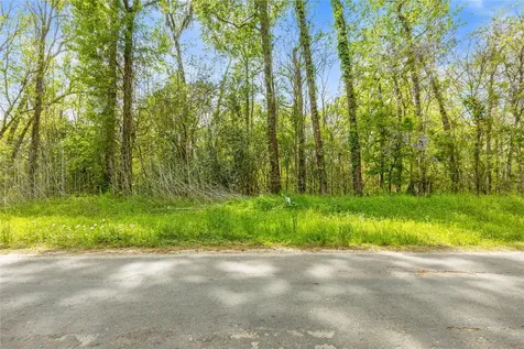 Tbd County Road 2859 Phantom Drive Cleveland TX 77327