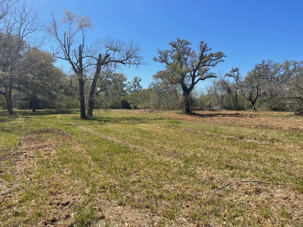 3531 County Road 348 Brazoria TX 77422