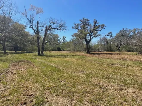 3531 County Road 348 Brazoria TX 77422