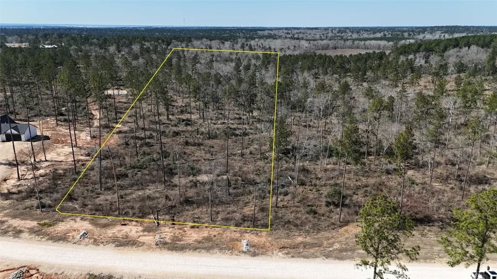 Tbd Reveille Road Livingston TX 77351