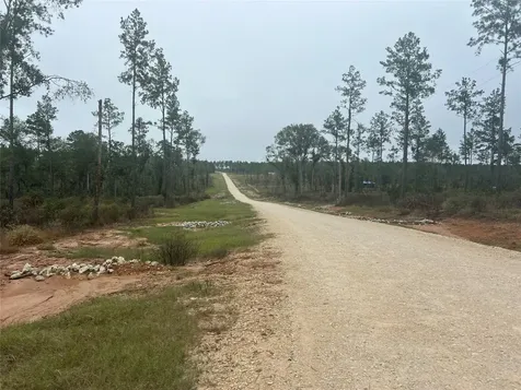 Tbd Reveille Road Livingston TX 77351