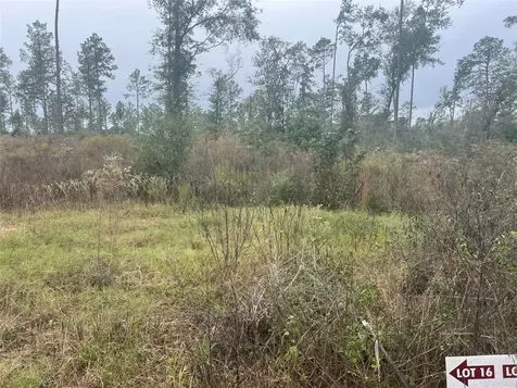 Tbd Reveille Road Livingston TX 77351