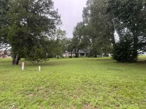 Lot 65 Birdie A/k/a 225 Birdie Drive Hempstead TX 77445