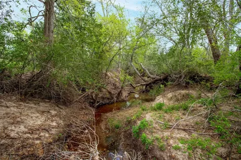 Tbd Fm-154 Muldoon TX 78949