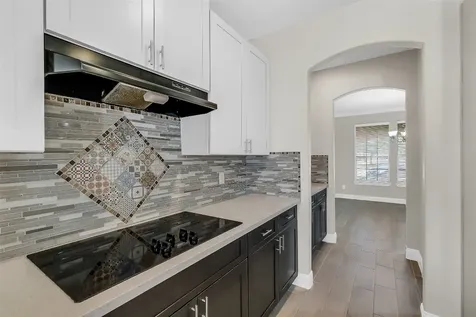 24811 Deep Coral Court Katy TX 77494