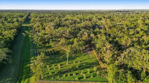 1415 China Grove Drive Rosharon TX 77583