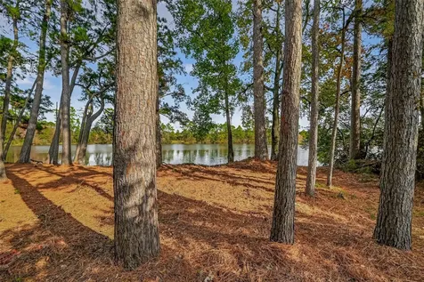 34 Wood Drake Place Tomball TX 77375