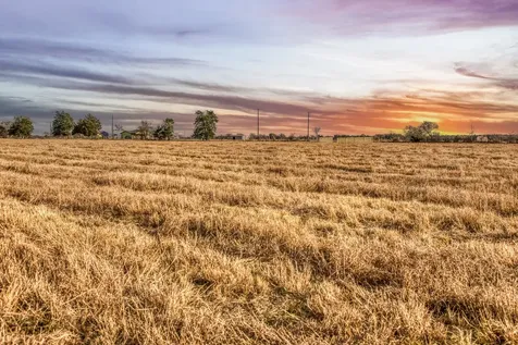 T B D County Road 318 Caldwell TX 77836