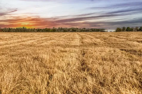 T B D County Road 318 Caldwell TX 77836