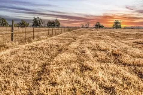 T B D County Road 318 Caldwell TX 77836