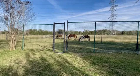 10303 Greenwillow Drive Houston TX 77035