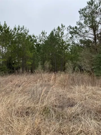 Tbd Parcel 6250 Crockett TX 75851