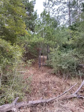 Tbd Parcel 6250 Crockett TX 75851