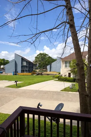 12254 Trail Hollow Drive Montgomery TX 77356