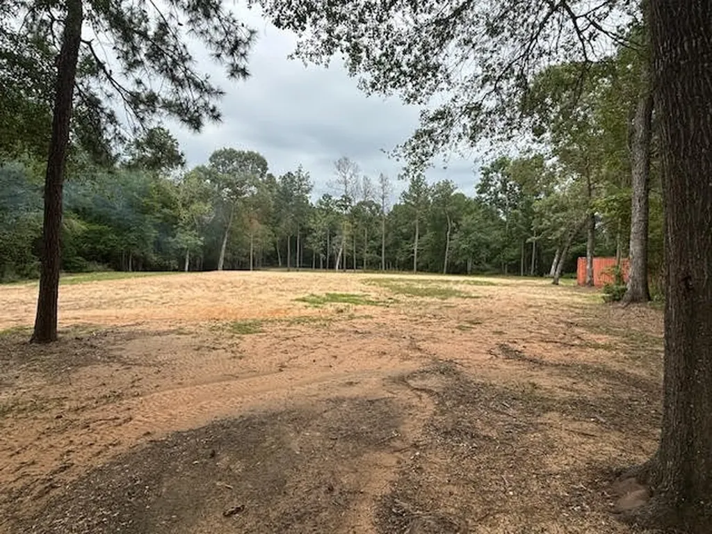 28171 Joseph Road Hockley TX 77447