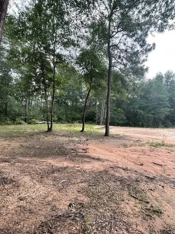 28171 Joseph Road Hockley TX 77447
