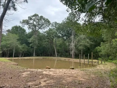 28171 Joseph Road Hockley TX 77447