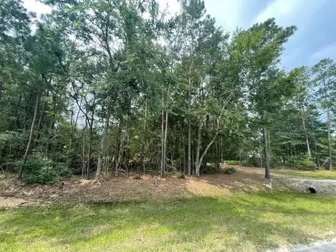 28171 Joseph Road Hockley TX 77447