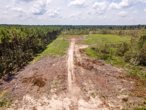 R53358 Highway 94 Apple Springs TX 75926