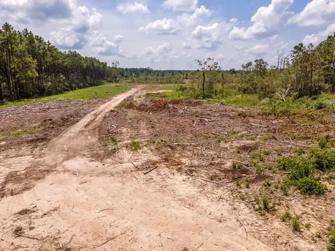 R53358 Highway 94 Apple Springs TX 75926