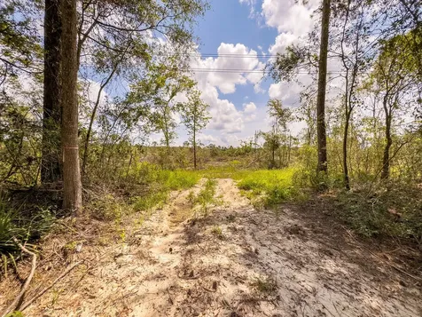 R53358 Highway 94 Apple Springs TX 75926