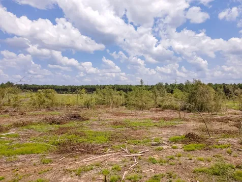 R53358 Highway 94 Apple Springs TX 75926