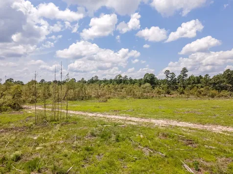 R53358 Highway 94 Apple Springs TX 75926