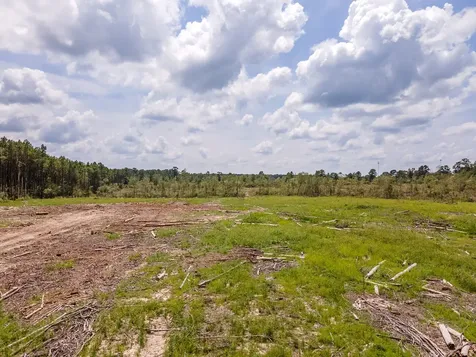 R53358 Highway 94 Apple Springs TX 75926