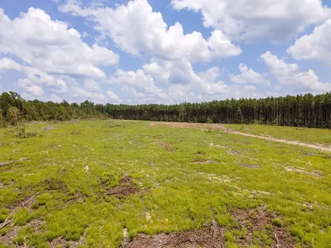 R53358 Highway 94 Apple Springs TX 75926