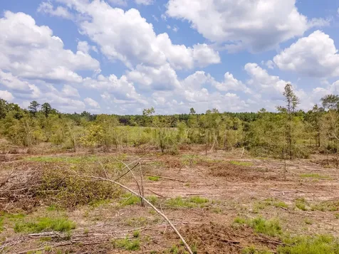 R53358 Highway 94 Apple Springs TX 75926