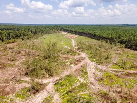 R53358 Highway 94 Apple Springs TX 75926