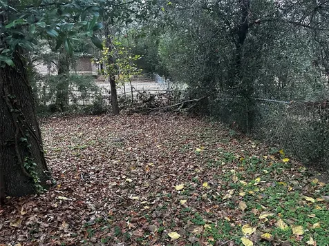 321 Olive Street Huntsville TX 77340