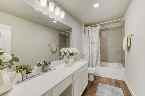 437 Ridge Palm Road Magnolia TX 77354