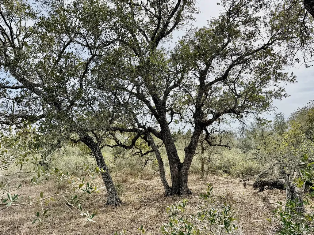 14.18 Acres Friar Road Cuero TX 77954