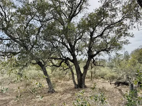 14.18 Acres Friar Road Cuero TX 77954