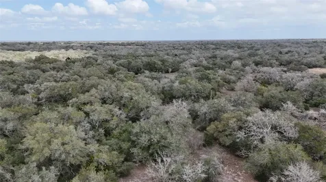 14.18 Acres Friar Road Cuero TX 77954
