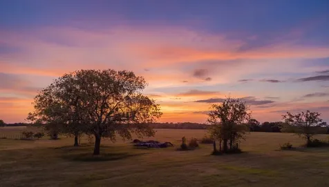 6015 Fm 1486 Richards TX 77873